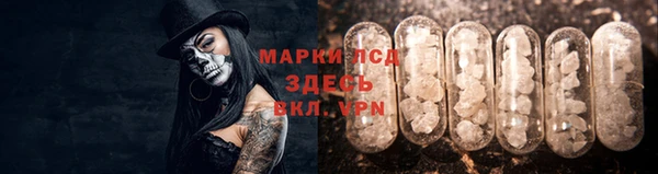 гашик Михайловск