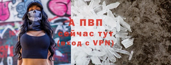 гашик Михайловск