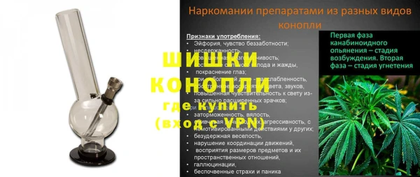 гашик Михайловск
