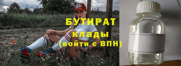 гашик Михайловск