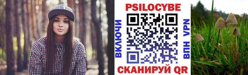 Псилоцибиновые грибы Psilocybine cubensis  закладки  Ульяновск 
