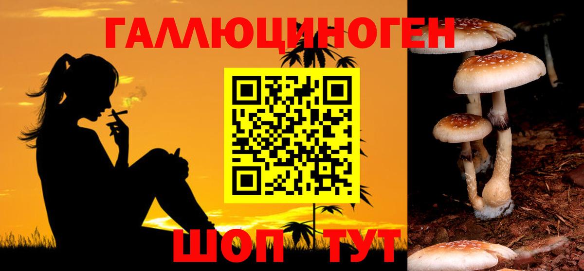 Ульяновск  Галлюциногенные грибы мицелий  Вход с VPN  Галлюциногенные грибы прущие грибы 